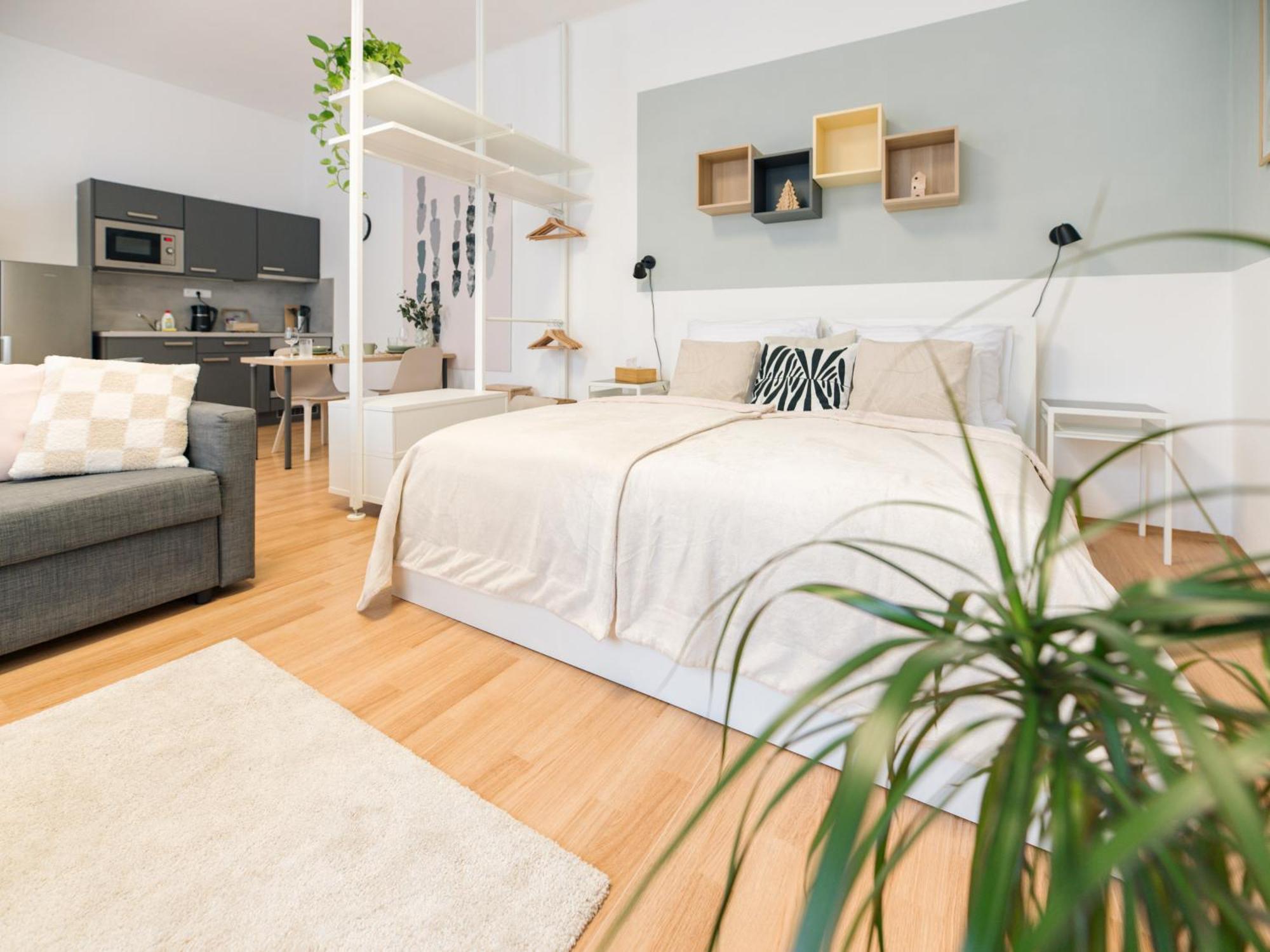 7 Nights Apartments Dominikanske N. Brno Zewnętrze zdjęcie